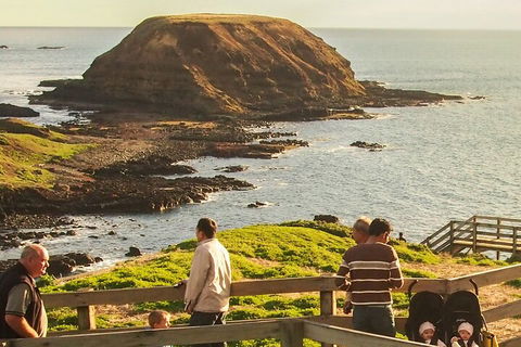 Healesville Sanctuary And Phillip Island Wildlife Bus Tour - New South Wales Tourism  3