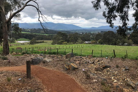 Yarra Valley Wine Tour Inc Lunch With A Glass Of Wine, Tastings And Chocolate - New South Wales Tourism  0