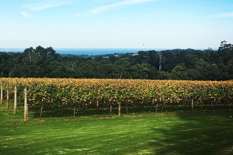 Yarra Valley Wine Tour Inc Lunch With A Glass Of Wine, Tastings And Chocolate - New South Wales Tourism  2