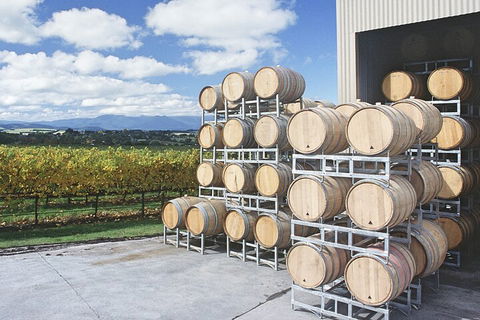 Yarra Valley Wine Tour Inc Lunch With A Glass Of Wine, Tastings And Chocolate - New South Wales Tourism  4