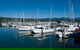 4-Day Cairns Ultimate Combo: Daintree Rainforest, Reef, Kuranda & Paronella Park - thumb 2