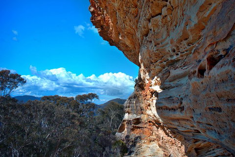 Unforgettable Blue Mountains Day Tour - New South Wales Tourism  2