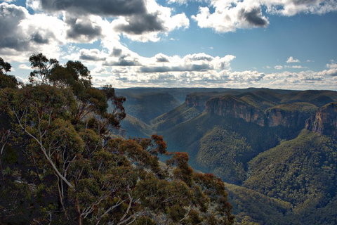 Unforgettable Blue Mountains Day Tour - New South Wales Tourism  4