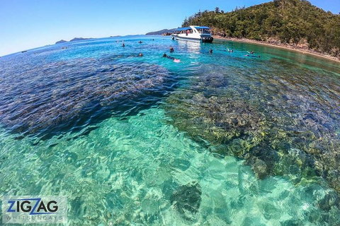 Whitehaven Beach Day Tour With Snorkel In Whitsundays Island - New South Wales Tourism  5