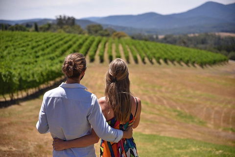 Yarra Valley Wine, Bubbles And Gin Tour! - New South Wales Tourism  4
