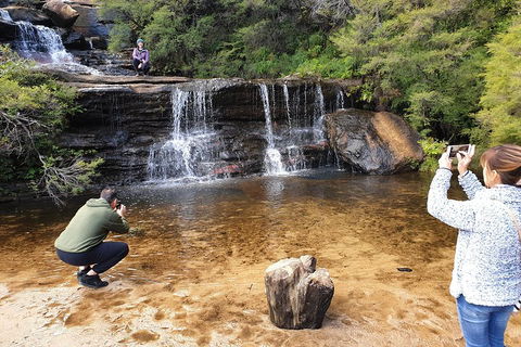 Blue Mountains Small Group Tour Enjoy A Sleep In, Waterfalls, Sunset & Dinner - New South Wales Tourism  2