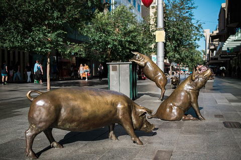Guided Walking Tour In Adelaide - New South Wales Tourism  4