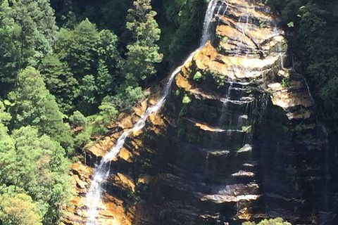 Private Blue Mountains Tour With Kangaroo And Koala Experience - New South Wales Tourism  5