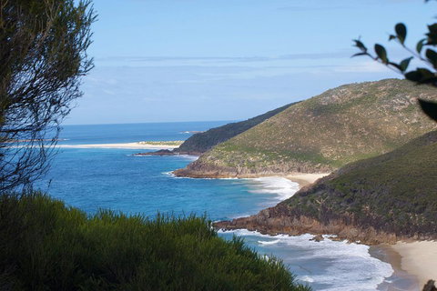 Private Port Stephens Day Trip From Sydney Including Dolphin Cruise - New South Wales Tourism  0