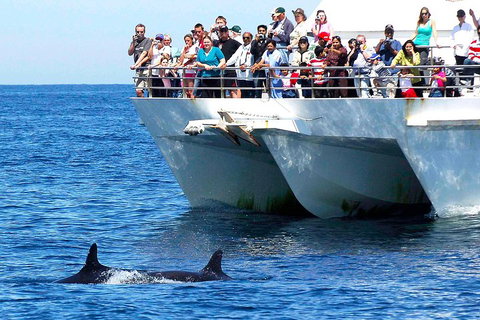 Private Port Stephens Day Trip From Sydney Including Dolphin Cruise - New South Wales Tourism  2