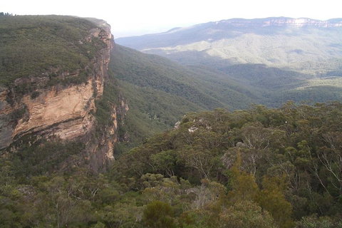Full-Day Private Blue Mountains Tour With River Cruise - New South Wales Tourism  3