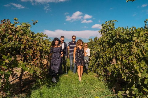 Barossa Valley Private Tour (from 2 To 11 People) - New South Wales Tourism  0