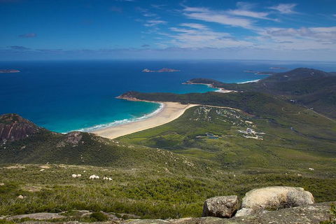 Wilson's Promontory & Phillip Island - 'Prom & Penguins' Tour - New South Wales Tourism  0
