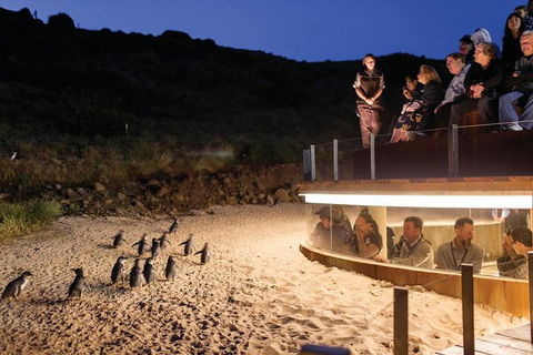 Wilson's Promontory & Phillip Island - 'Prom & Penguins' Tour - New South Wales Tourism  3