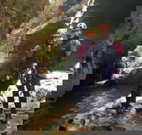 Blue Mountains Empress Canyon Adventure from Wentworth Falls - New South Wales Tourism 