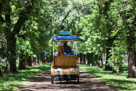 Adelaide 90-Minute Pedicab Tour: Scenic Green & River Experience - New South Wales Tourism  2