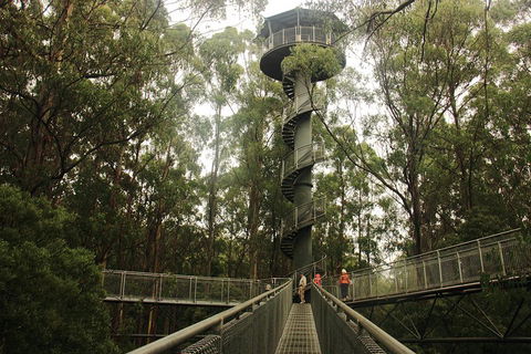 Private Tours From Melbourne - New South Wales Tourism  5