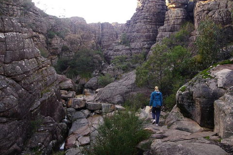 Private Grampians Day Tour - New South Wales Tourism  3