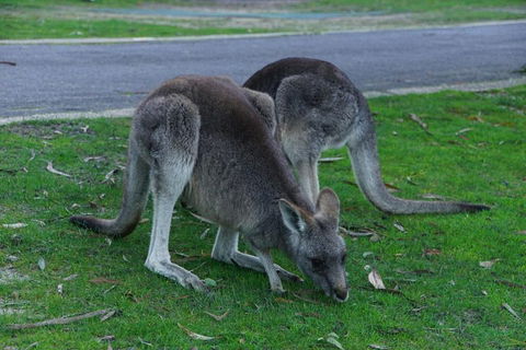 Private Grampians Day Tour - New South Wales Tourism  5