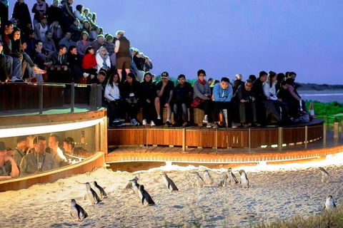 Private Phillip Island Tour - New South Wales Tourism  3