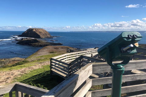 Private Phillip Island Tour - New South Wales Tourism  4