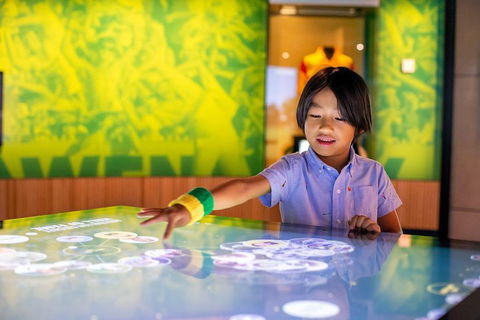 Melbourne Sports Experience + Free Australian Sports Museum Entry - New South Wales Tourism  4
