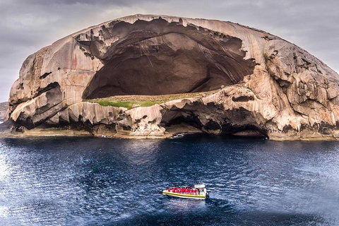 Wilsons Promontory Wilderness Cruise From Tidal River - New South Wales Tourism  0