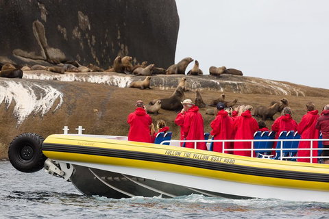 Wilsons Promontory Wilderness Cruise From Tidal River - New South Wales Tourism  1