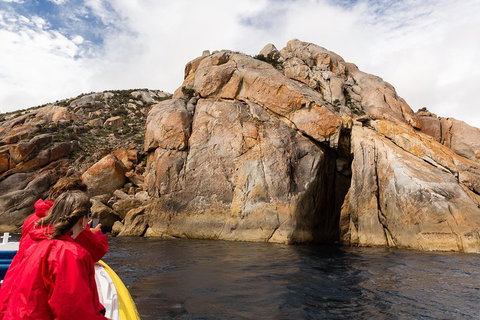 Wilsons Promontory Wilderness Cruise From Tidal River - New South Wales Tourism  3