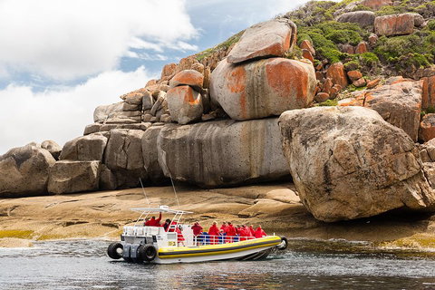 Wilsons Promontory Wilderness Cruise From Tidal River - New South Wales Tourism  4