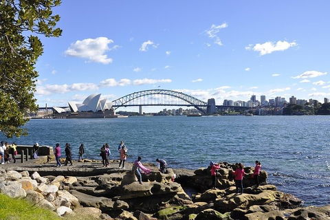 Sydney Sightseeing Bus Tours - New South Wales Tourism  2