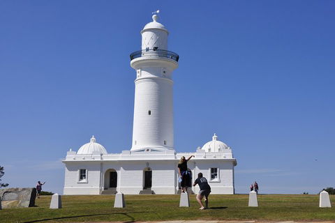 Sydney Sightseeing Bus Tours - New South Wales Tourism  5
