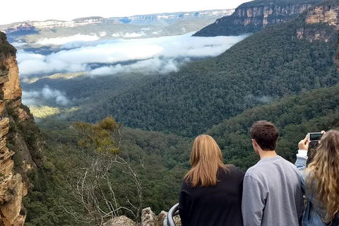 Blue Mountains Private Tour - Wild Kangaroos, Waterfalls And The Three Sisters - New South Wales Tourism  3