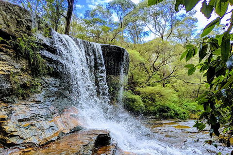 Blue Mountains Private Tour - Wild Kangaroos, Waterfalls And The Three Sisters - New South Wales Tourism  5