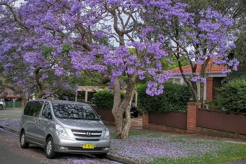 Sydney Secrets & Bondi Beach Private 4 Hr Morning With Personalised Sydney Tours - New South Wales Tourism  0