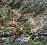 Grampians - Private Tour