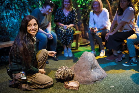 Sydney Taronga Zoo's Australian Animals Tour - New South Wales Tourism  0