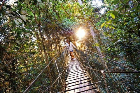 O'Reilly's & Lamington National Park From Brisbane - New South Wales Tourism  5