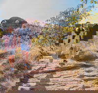 Kings Canyon Day Trip from Ayers Rock Uluru - New South Wales Tourism 