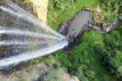 Natural Bridge & Springbrook Waterfalls Tour + Hot Air Balloon With Breakfast - New South Wales Tourism  1