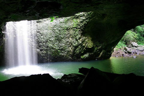 Natural Bridge & Springbrook Waterfalls Tour + Hot Air Balloon With Breakfast - New South Wales Tourism  2