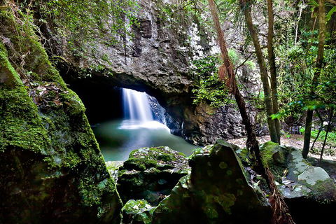Natural Bridge & Springbrook Waterfalls Tour + Hot Air Balloon With Breakfast - New South Wales Tourism  4