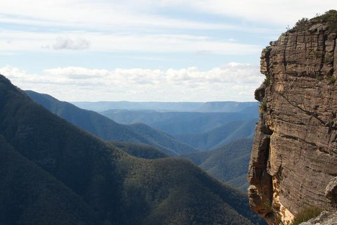 Inside The Greater Blue Mountains World Heritage - A Wildlife Safari Overnight - New South Wales Tourism  4