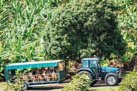 Northern Rivers Full Day Wine Tour - New South Wales Tourism  1