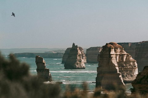 Half-Day Or Full-Day Tour With Private Guide From Melbourne - New South Wales Tourism  0