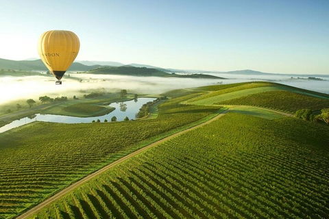 Half-Day Or Full-Day Tour With Private Guide From Melbourne - New South Wales Tourism  4