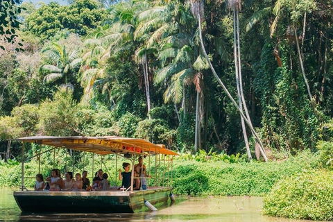 Tropical Fruit World Farm Full Tour - New South Wales Tourism  0
