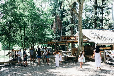 Tropical Fruit World Farm Full Tour - New South Wales Tourism  3