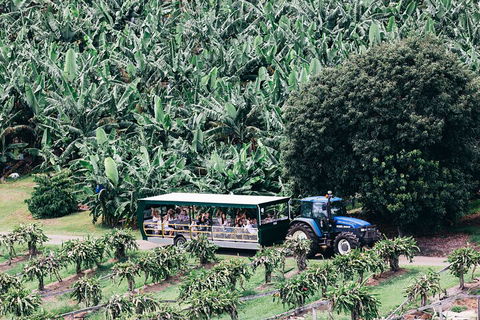 Tropical Fruit World Farm Full Tour - New South Wales Tourism  5