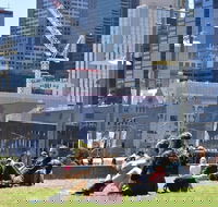 Personalised Half Day With A Local In Melbourne - New South Wales Tourism 
